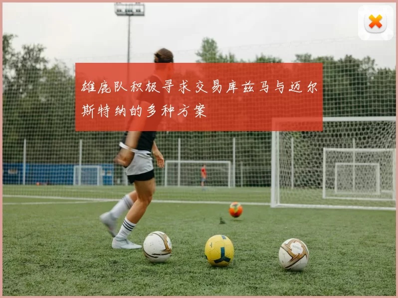 雄鹿队积极寻求交易库兹马与迈尔斯特纳的多种方案