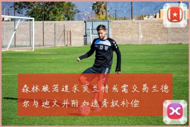 森林狼若追求莫兰特或需交易兰德尔与迪文并附加选秀权补偿