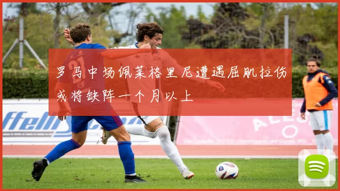 罗马中场佩莱格里尼遭遇屈肌拉伤或将缺阵一个月以上